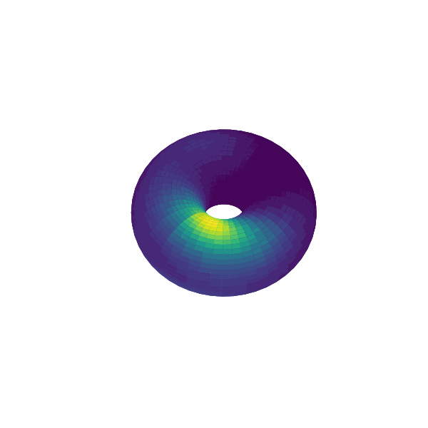 环面 Bump 分析